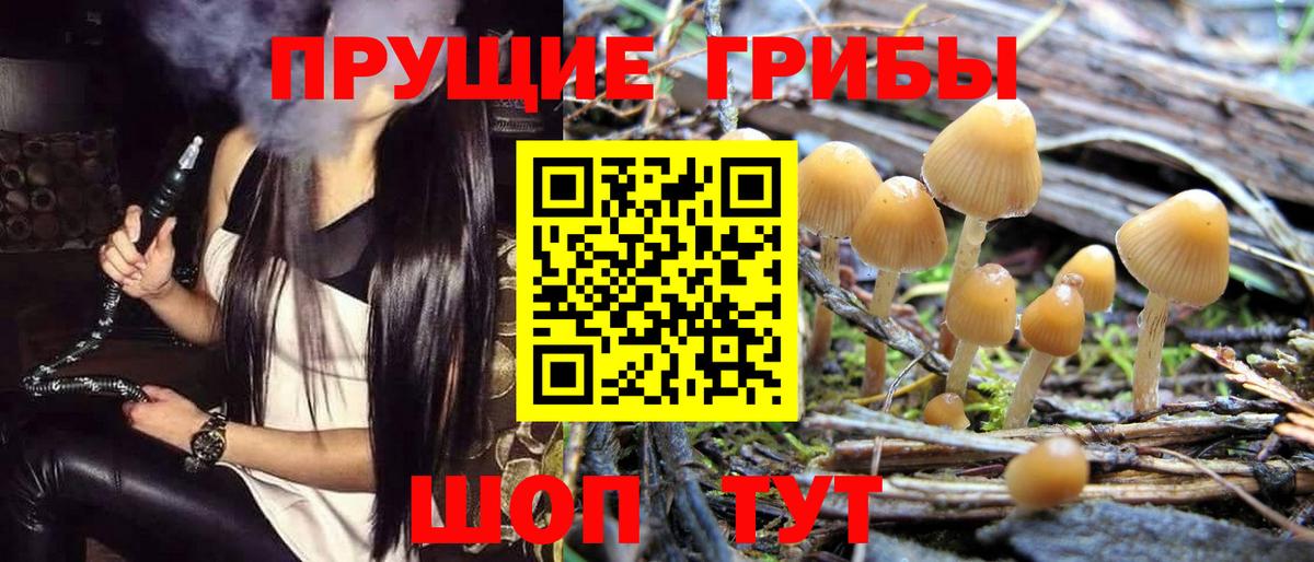 Псилоцибиновые грибы GOLDEN TEACHER  Вход с VPN  Муравленко 